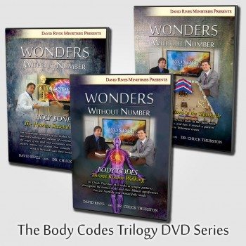 Body Codes Trilogy Transparent01-2015-8-26-10.23.18.988