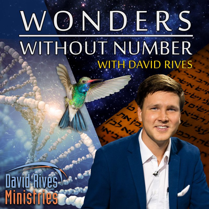 Wonders Without Number Podcast with David Rives