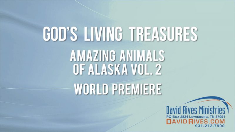 "Amazing" Success! - Animals of Alaska Part 2 WORLD PREMIERE