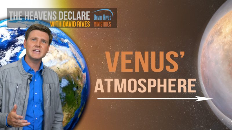Venus' Thick Atmosphere