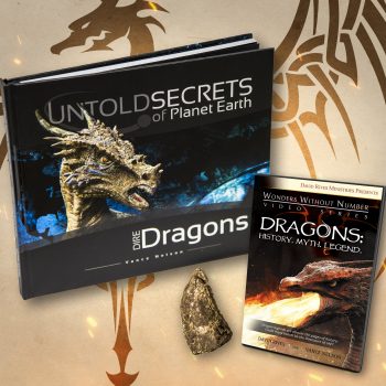 DRAGONS BOOK AND DVD BUNDLE PLUS FREE T-REX TOOTH TIP REPLICA?