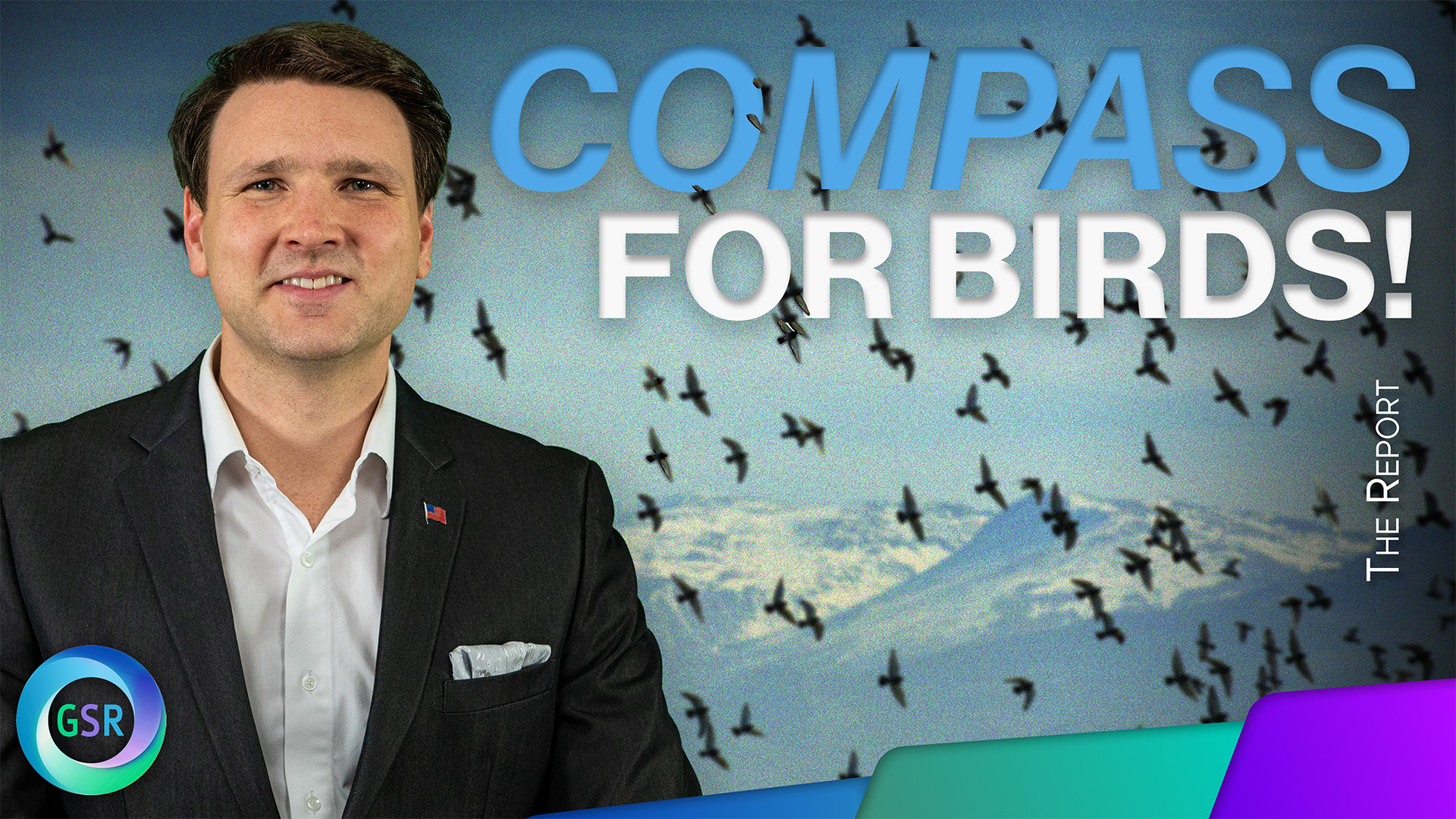 Compass For Birds
